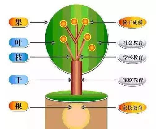 微信图片_20180208182553.jpg