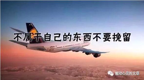 1546859075574000.jpg QQ截图20190107190336.jpg